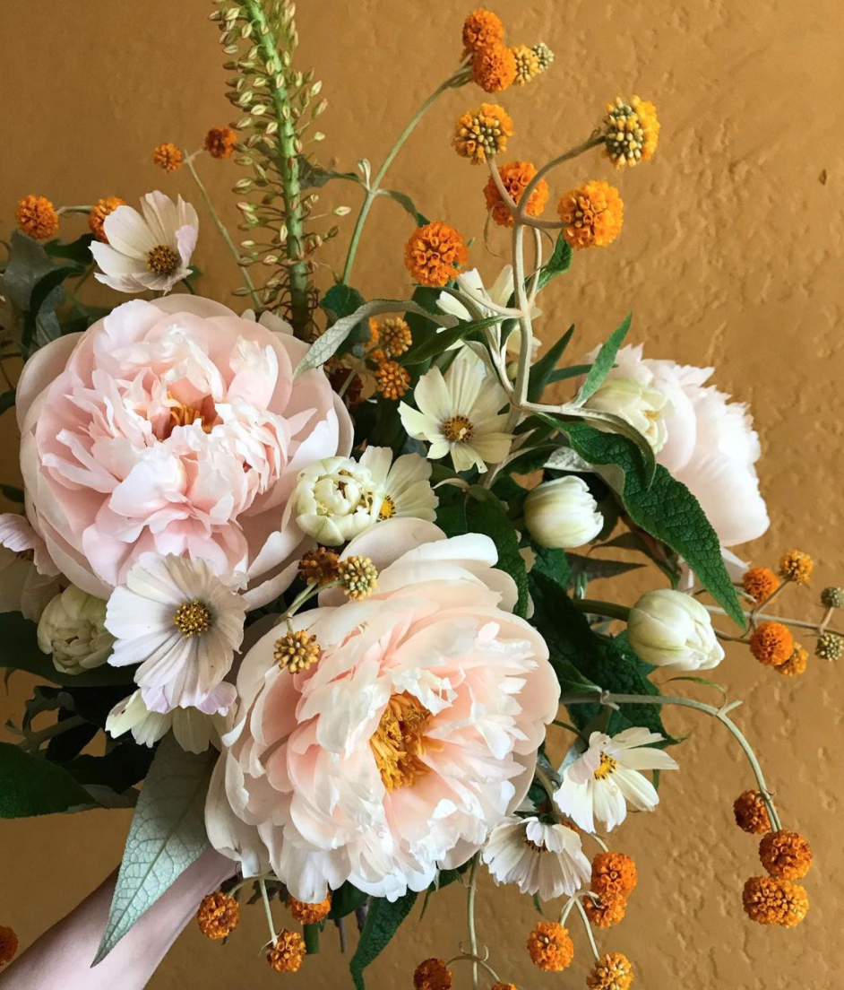 flowers by Yasmine Mei